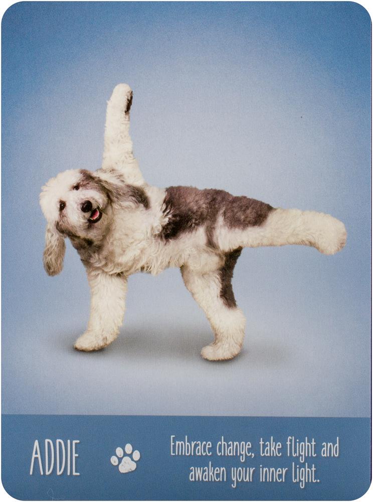 Yoga Dogs Deck & Book Set