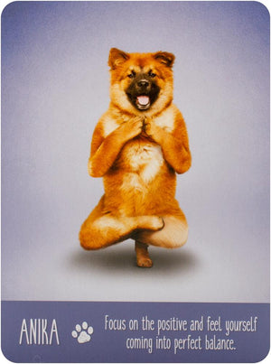Yoga Dogs Deck & Book Set