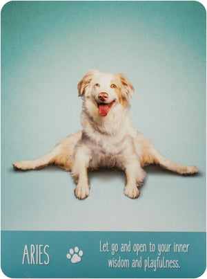 Yoga Dogs Deck & Book Set