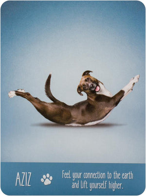 Yoga Dogs Deck & Book Set