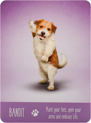 Yoga Dogs Deck & Book Set