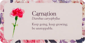 Flower Petals Inspiration Cards
