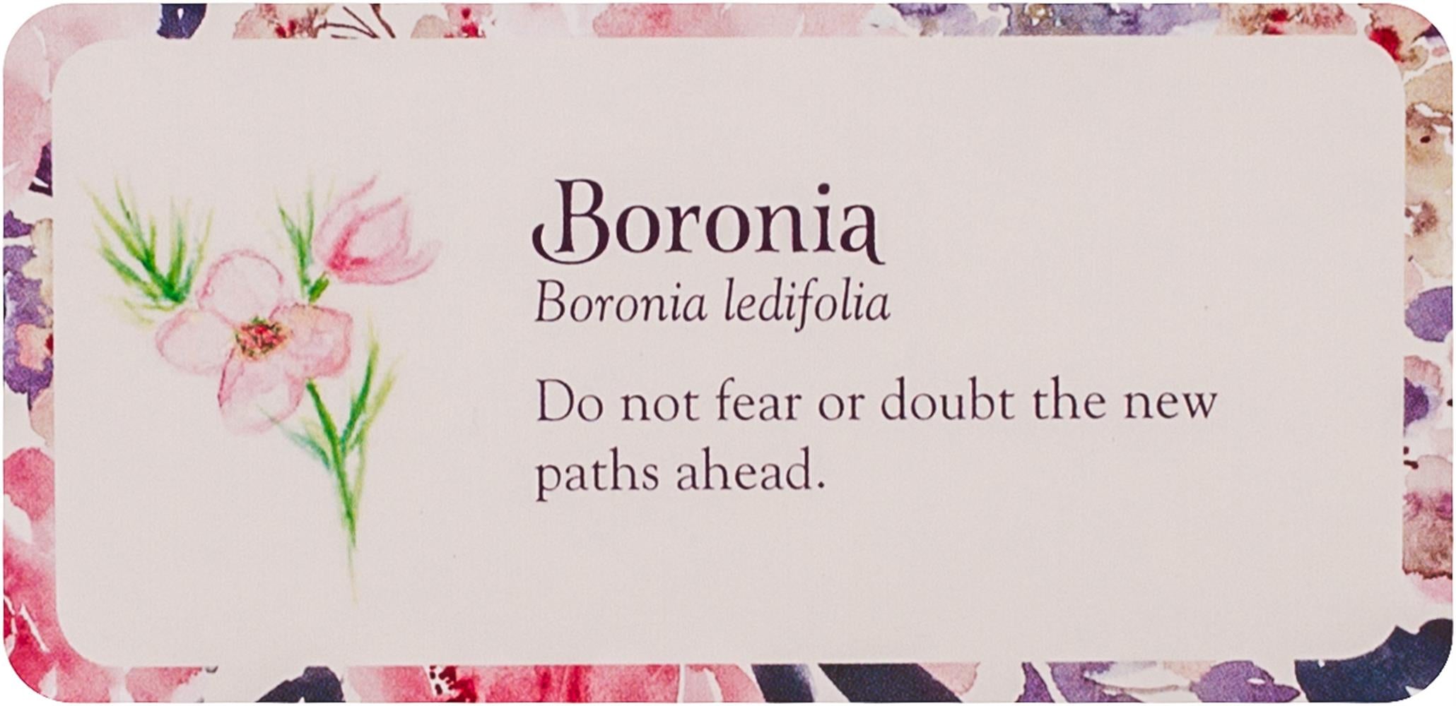 Flower Petals Inspiration Cards