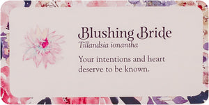 Flower Petals Inspiration Cards