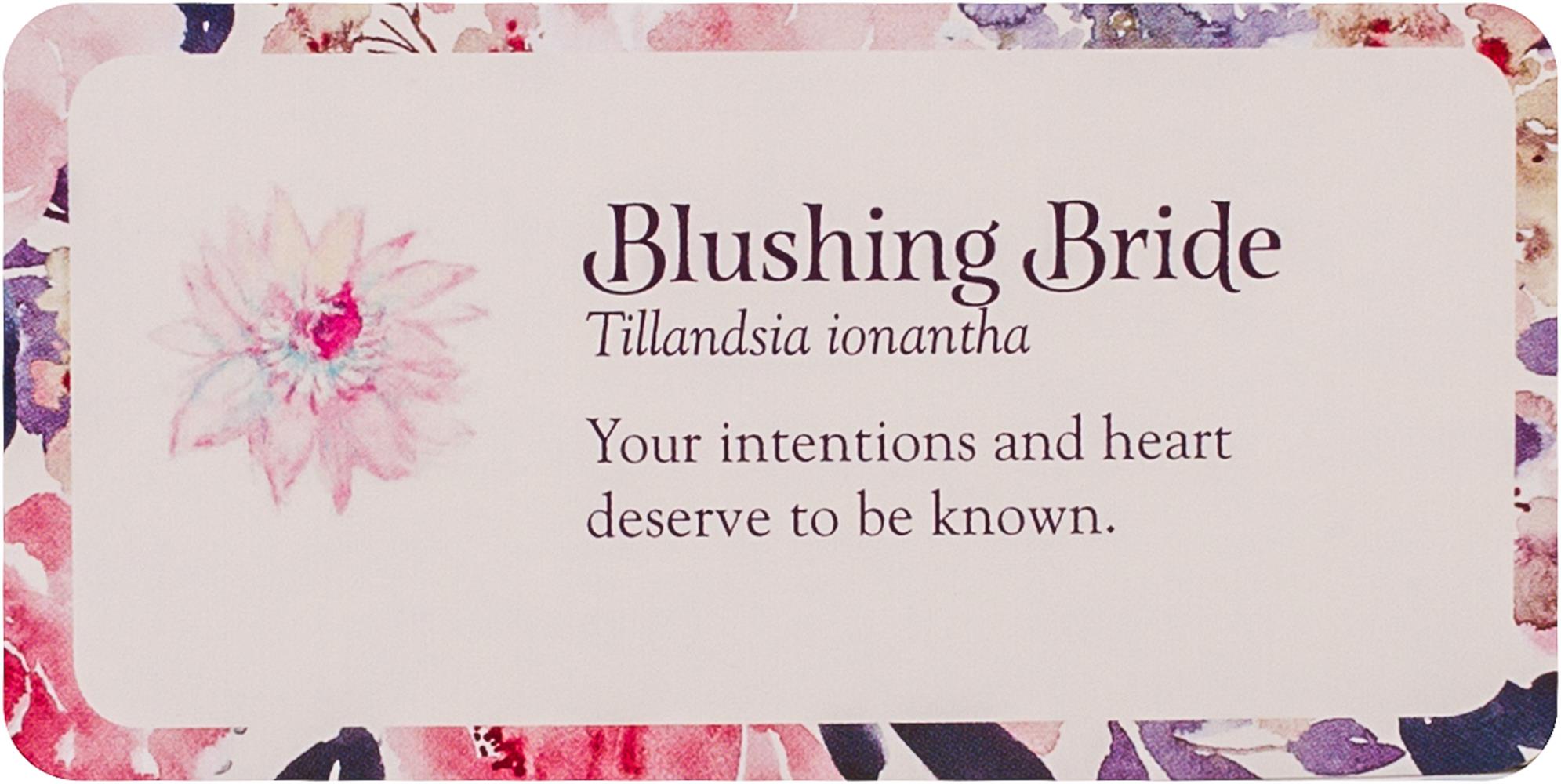 Flower Petals Inspiration Cards