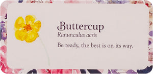 Flower Petals Inspiration Cards