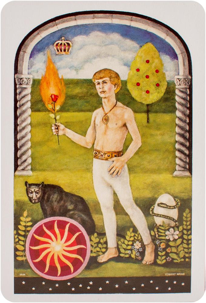 Jungian Tarot