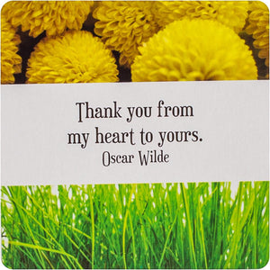 Thank You Notes- 60 Heartfelt Messages of Appreciation & Gratitude
