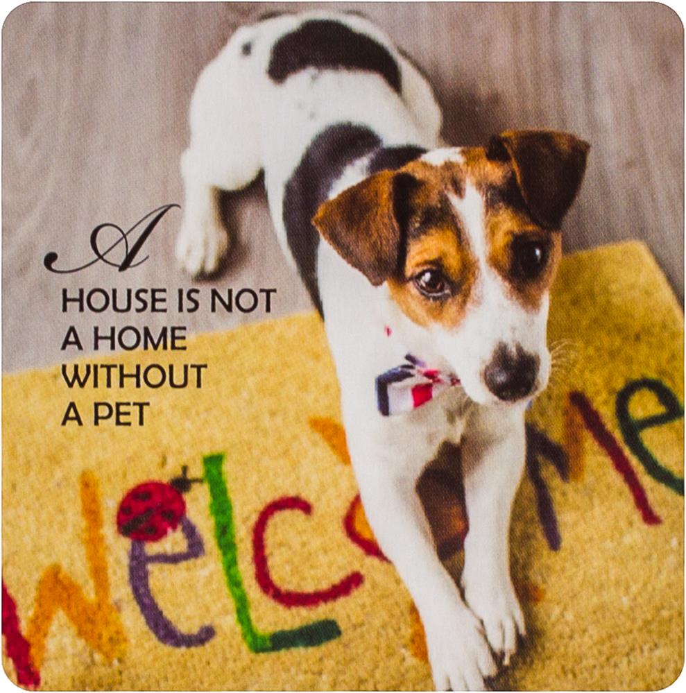 Pup Notes- 60 Notes of Dog Love & Joy