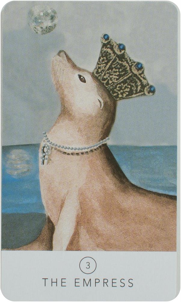 White Sage Tarot