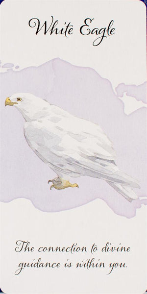 Divine Feather Messenger