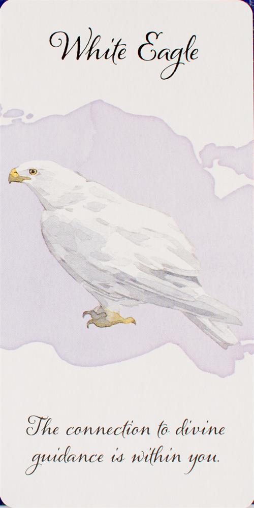 Divine Feather Messenger