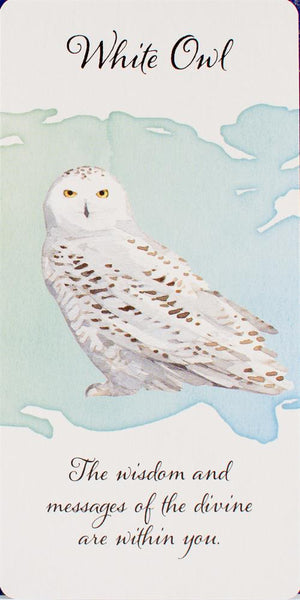 Divine Feather Messenger