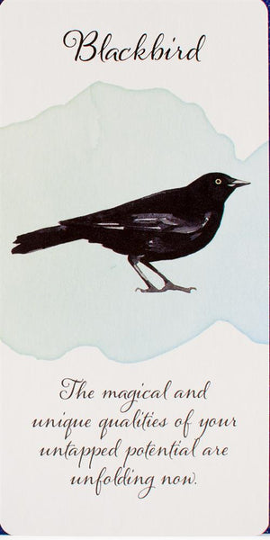 Divine Feather Messenger