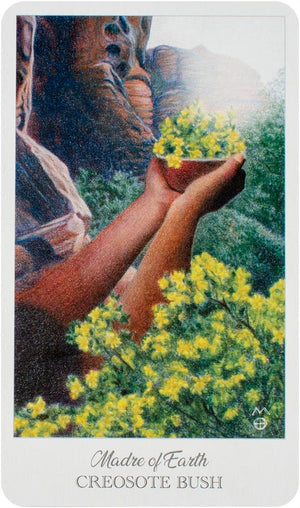 The Herbcrafter’s Tarot