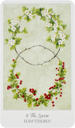 The Herbcrafter’s Tarot
