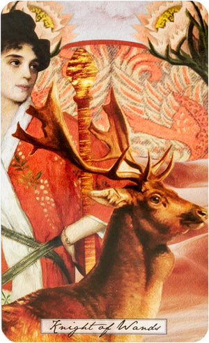 The Uncommon Tarot: A Contemporary Reimagining of an Ancient Oracle