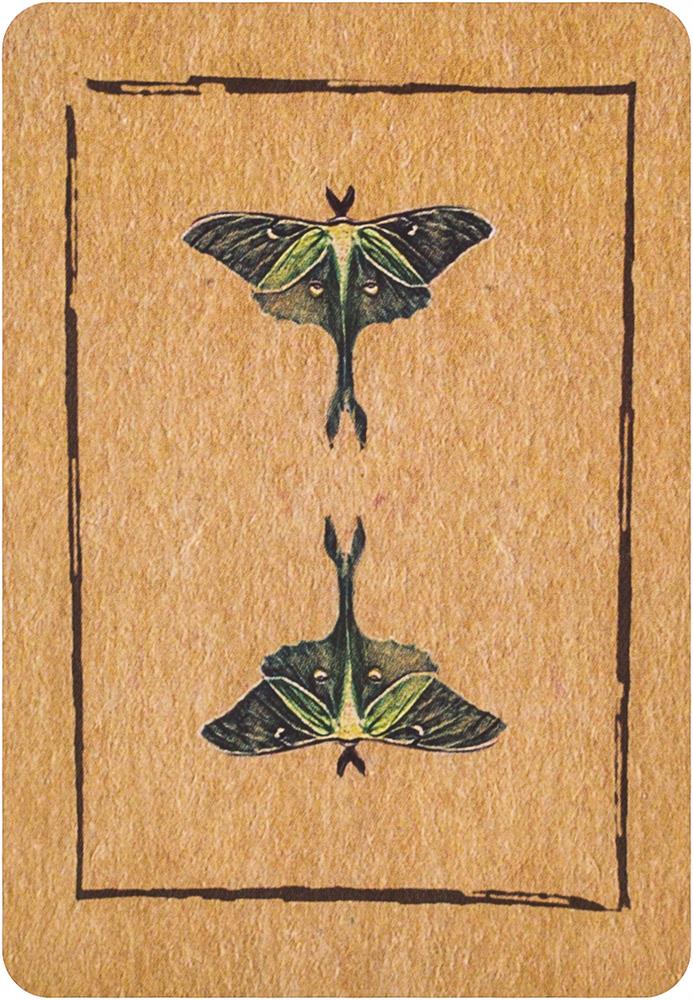 Conjure Cards