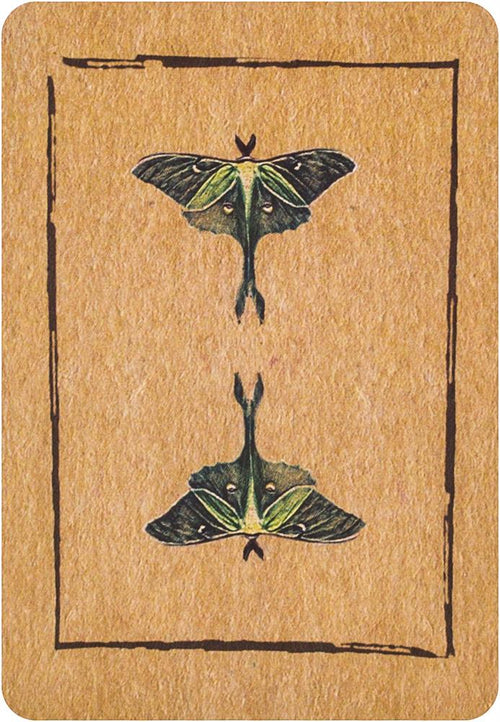 Conjure Cards