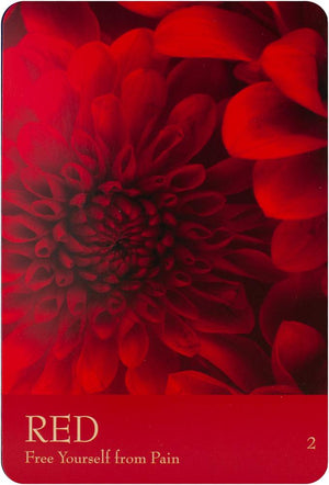 Secret language of color cards