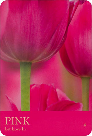 Secret language of color cards
