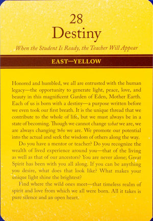 Sacred Vision Oracle Cards