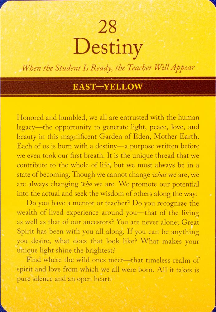 Sacred Vision Oracle Cards