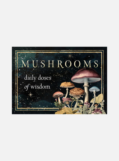 Mushrooms: Daily Doses of Wisdom (36 Gilt-Edged Full-Color Cards)