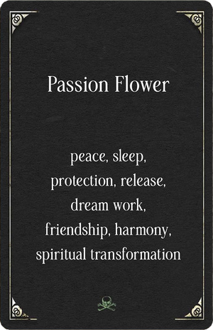 Magic from the Midnight Garden: Dark Beauty, Mystery, and Wisdom (36 Full-Color, Gilt-Edged Cards)