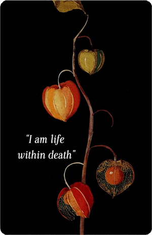 Magic from the Midnight Garden: Dark Beauty, Mystery, and Wisdom (36 Full-Color, Gilt-Edged Cards)