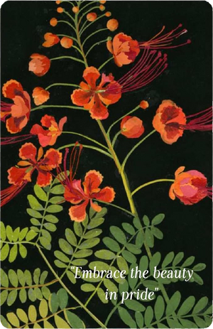Magic from the Midnight Garden: Dark Beauty, Mystery, and Wisdom (36 Full-Color, Gilt-Edged Cards)