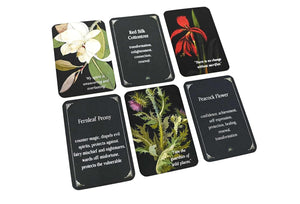 Magic from the Midnight Garden: Dark Beauty, Mystery, and Wisdom (36 Full-Color, Gilt-Edged Cards)