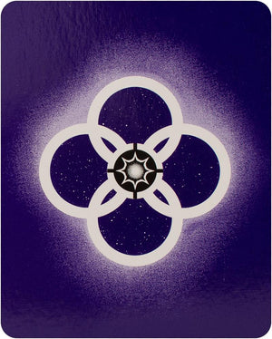 Mayan Oracle: The Galactic Language Of Light (44-Card Deck & Book) (New Edition)