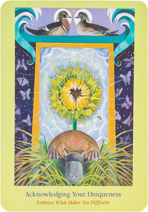 Heart Path Oracle Cards
