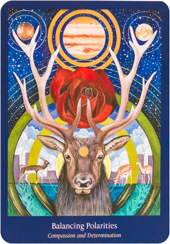Heart Path Oracle Cards