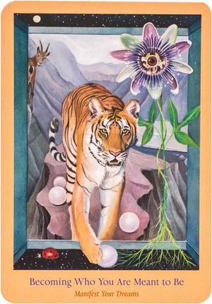 Heart Path Oracle Cards