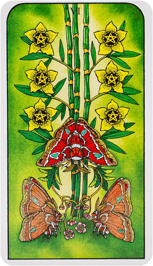 Nature Spirit Tarot