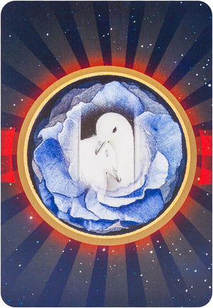 Animal Love Oracle Cards
