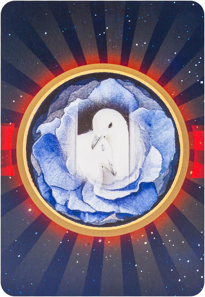 Animal Love Oracle Cards