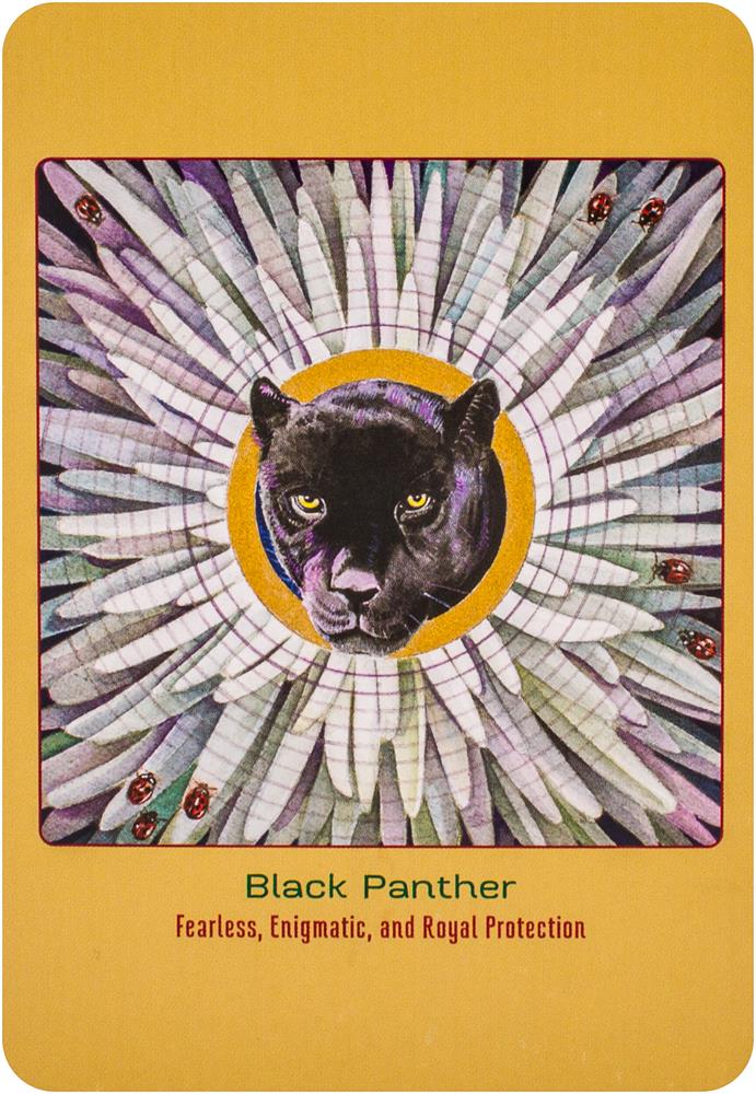 Animal Love Oracle Cards