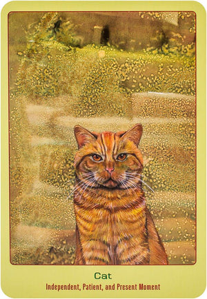 Animal Love Oracle Cards