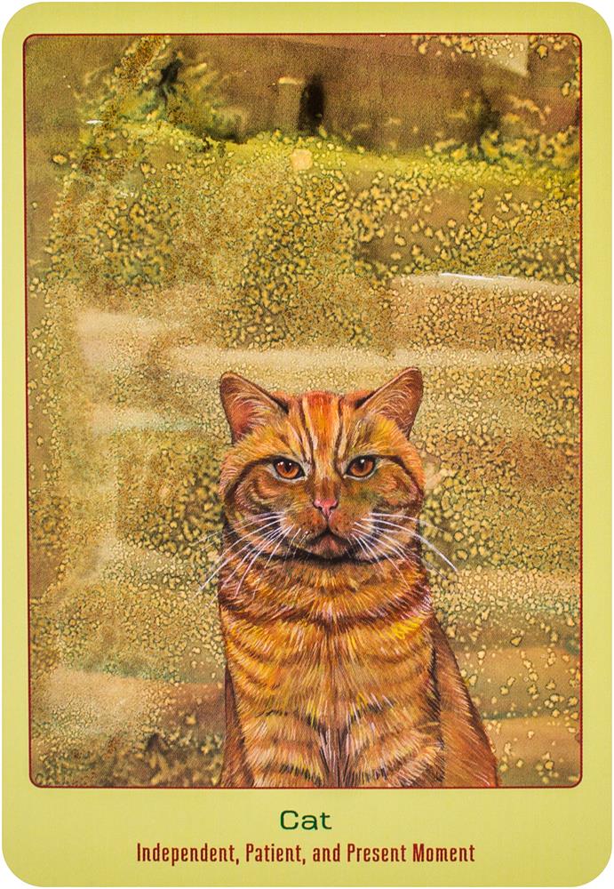 Animal Love Oracle Cards