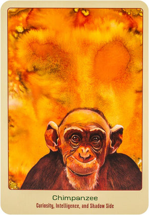 Animal Love Oracle Cards
