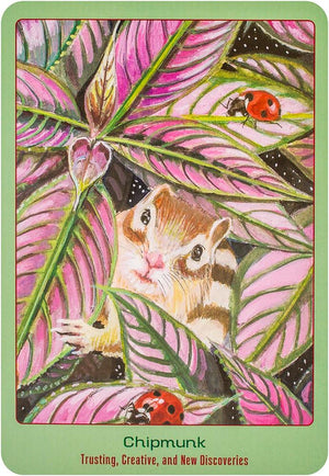 Animal Love Oracle Cards