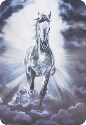 The Council of Horses Oracle: A 40-Card Deck and Guidebook