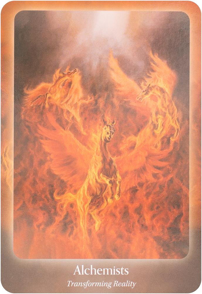The Council of Horses Oracle: A 40-Card Deck and Guidebook