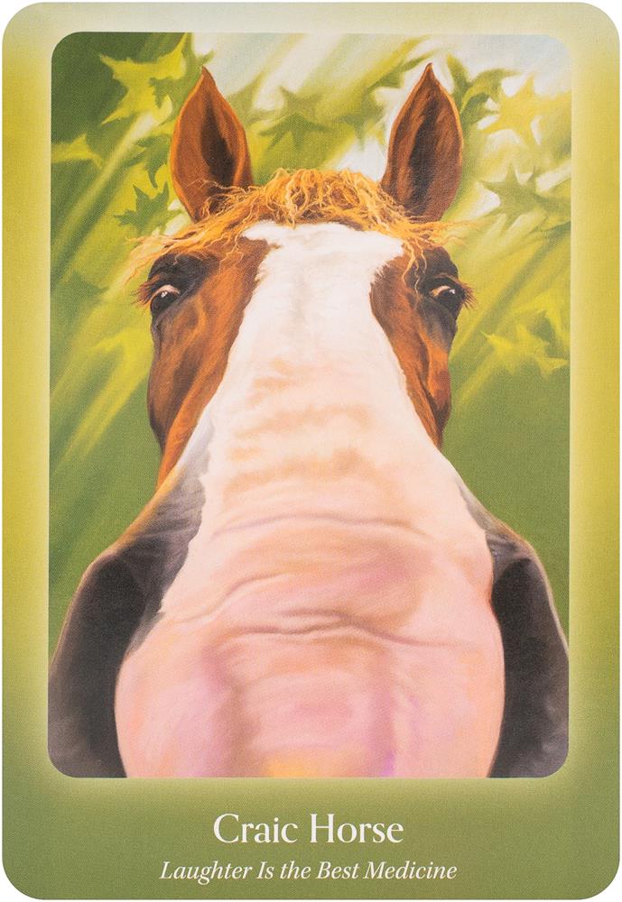 The Council of Horses Oracle: A 40-Card Deck and Guidebook
