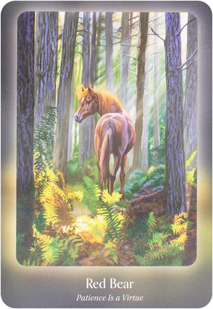 The Council of Horses Oracle: A 40-Card Deck and Guidebook