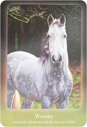 The Council of Horses Oracle: A 40-Card Deck and Guidebook