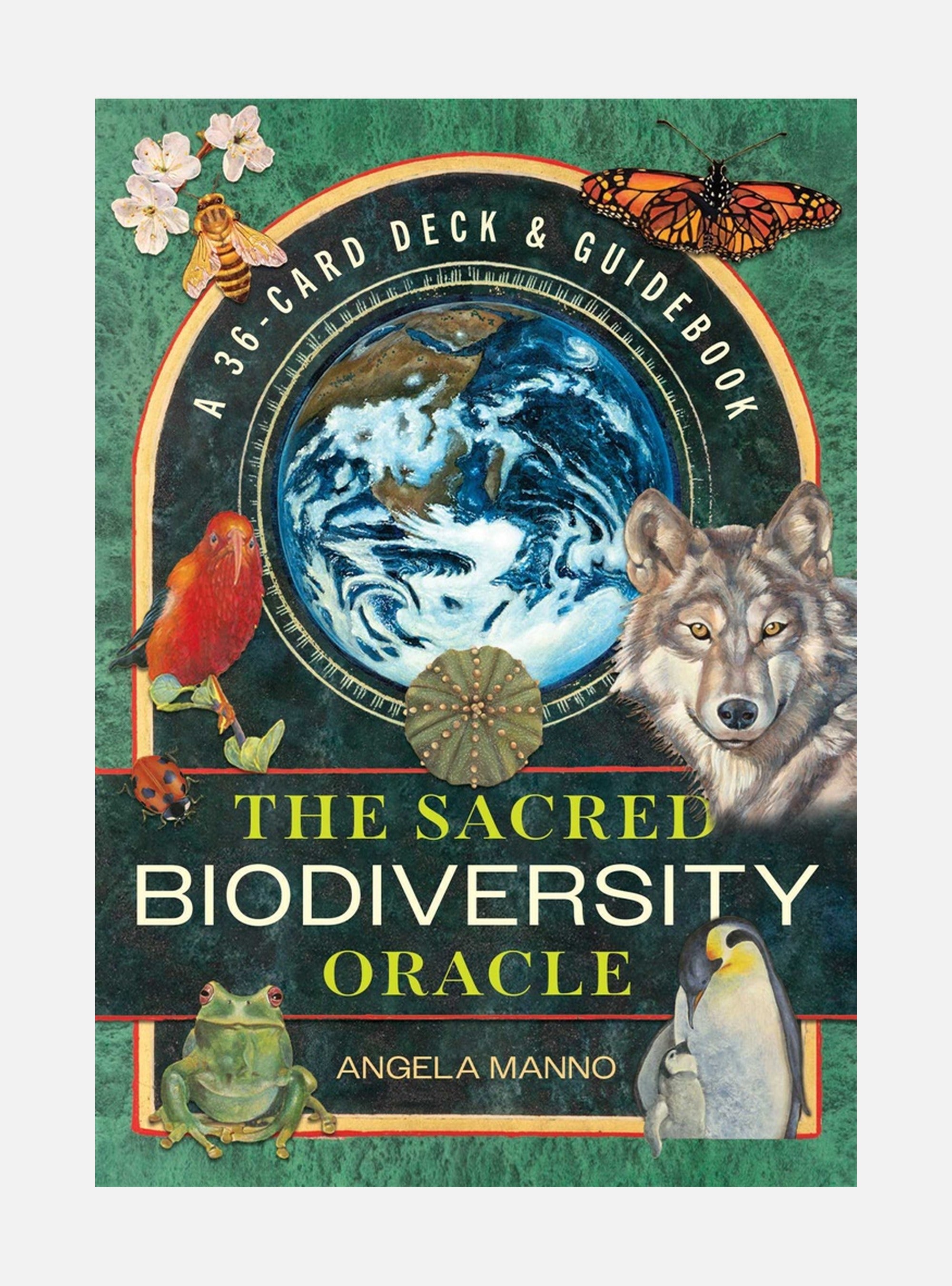 The Sacred Biodiversity Oracle: A 36-Card Deck and Guidebook